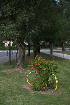 Ocvetličena kolesa v parku Dežela štorkelj 